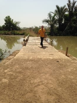 Bridge